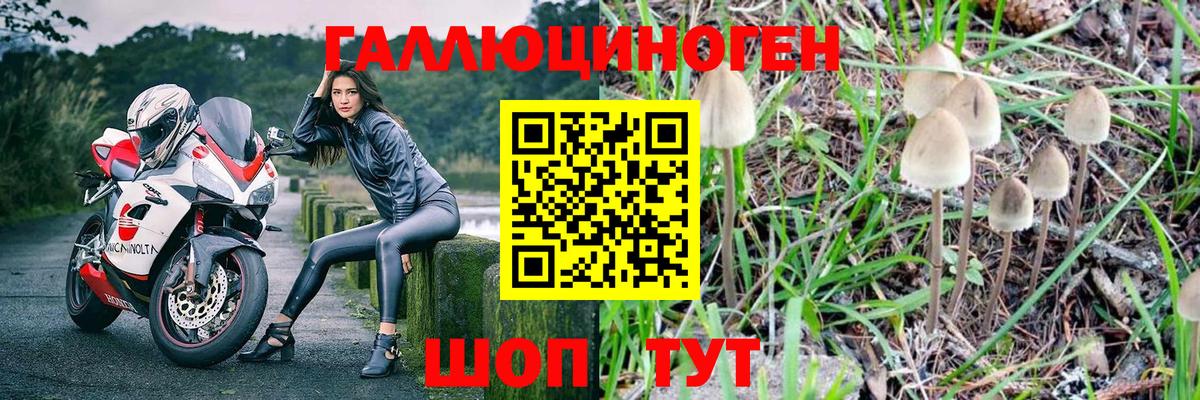 Галлюциногенные грибы MAGIC MUSHROOMS Сатка