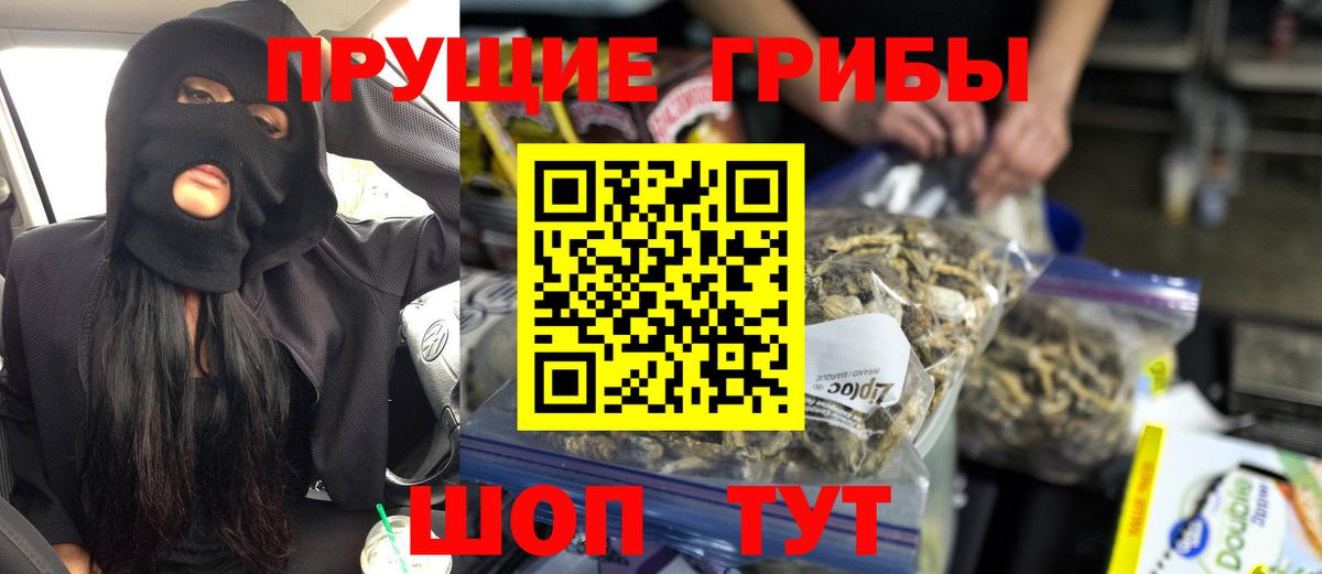 Галлюциногенные грибы MAGIC MUSHROOMS  Вход с VPN  где можно купить наркотик  Сатка 