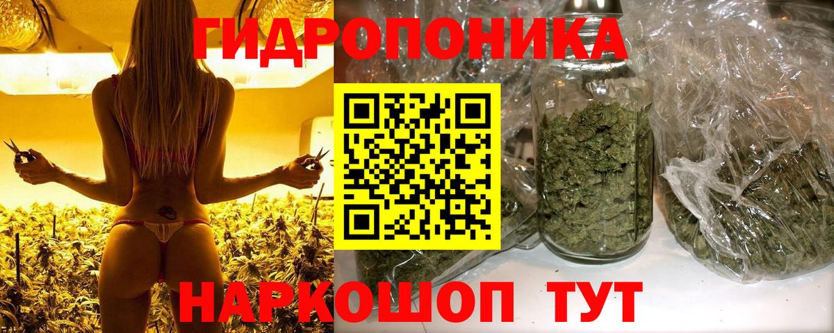 Марихуана план  Каннабис Ganja  Вход с VPN  Марихуана конопля  Сатка  Конопля MAZAR 